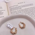 گوشواره آکوا