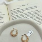 گوشواره آکوا