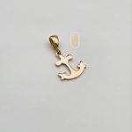 مدال نیک زر