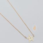 مدال و زنجیر درسام