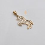 مدال نیک زر