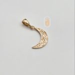 مدال نیک زر