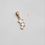 مدال نیک زر