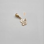 مدال نیک زر