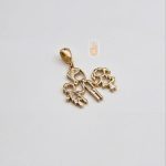 مدال نیک زر