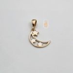 مدال نیک زر