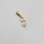 مدال نیک زر