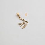 مدال نیک زر