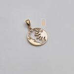 مدال نیک زر