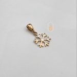 مدال نیک زر