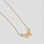 پلاک و زنجیر داما