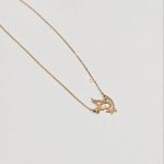 پلاک و زنجیر داما