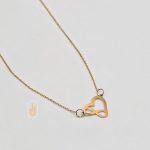 پلاک و زنجیر داما