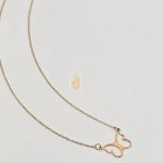 پلاک و زنجیر داما