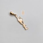 مدال نیک زر