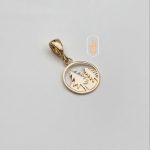 مدال نیک زر