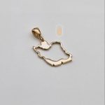 مدال نیک زر