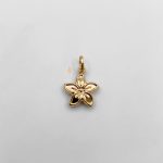 آویز فانتزی